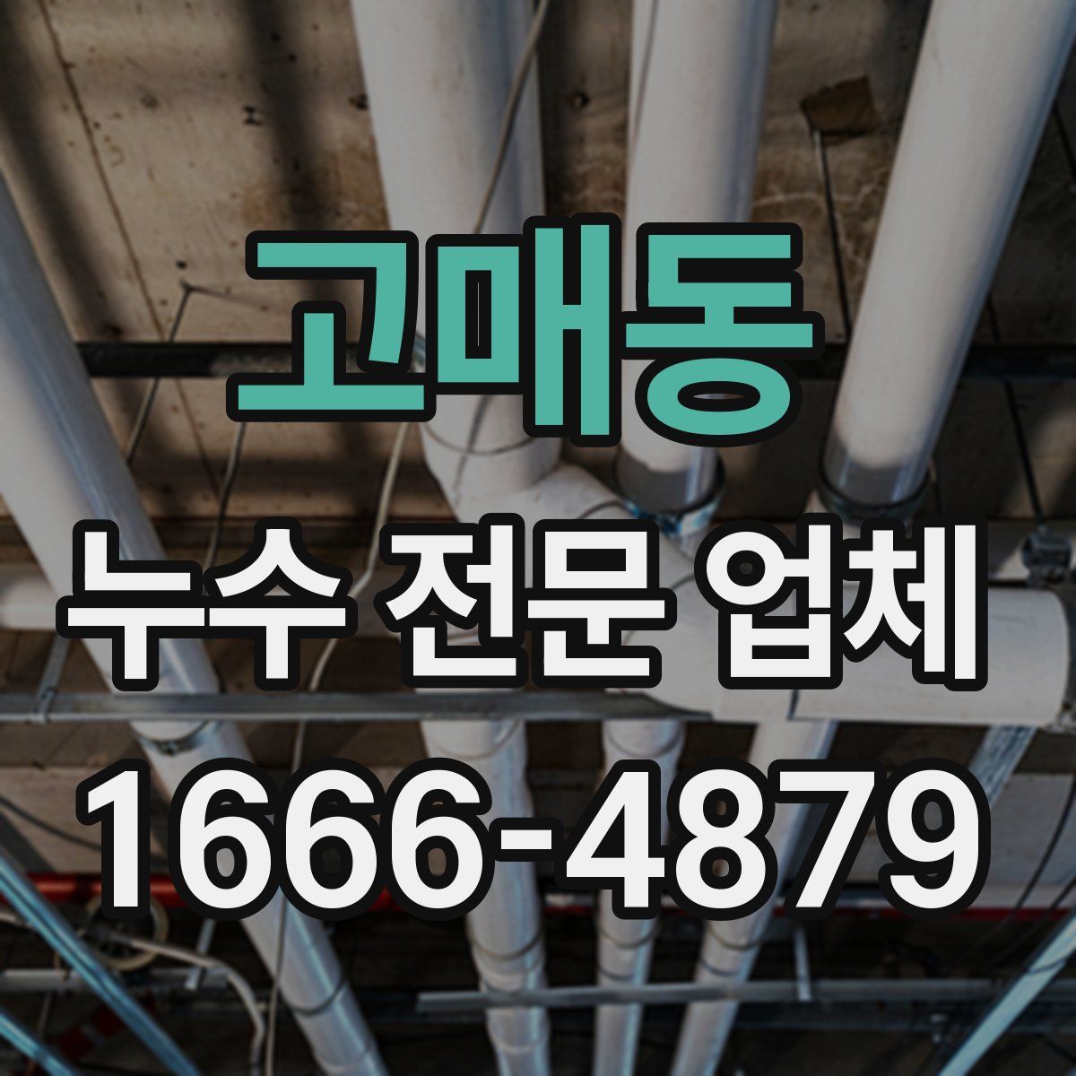 고매동 누수 전문 업체