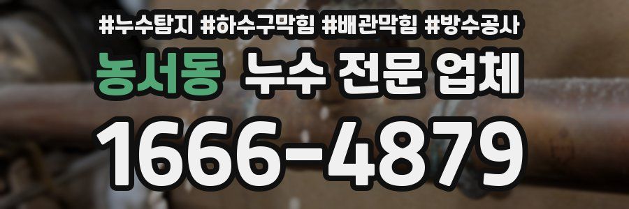 농서동 누수 전문 업체