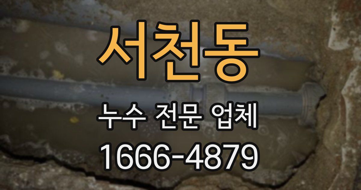 서천동 누수 전문 업체