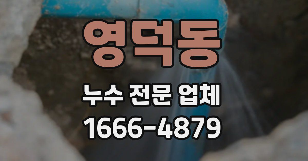 영덕동 누수 전문 업체
