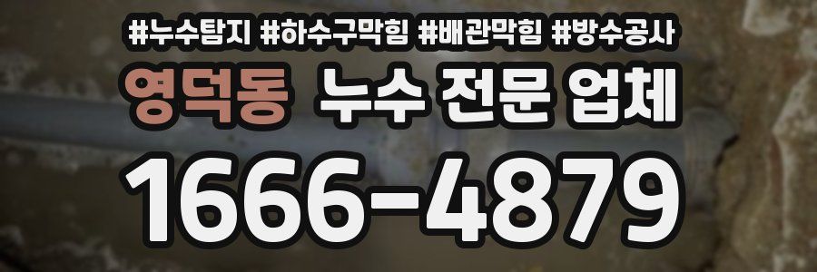 영덕동 누수 전문 업체