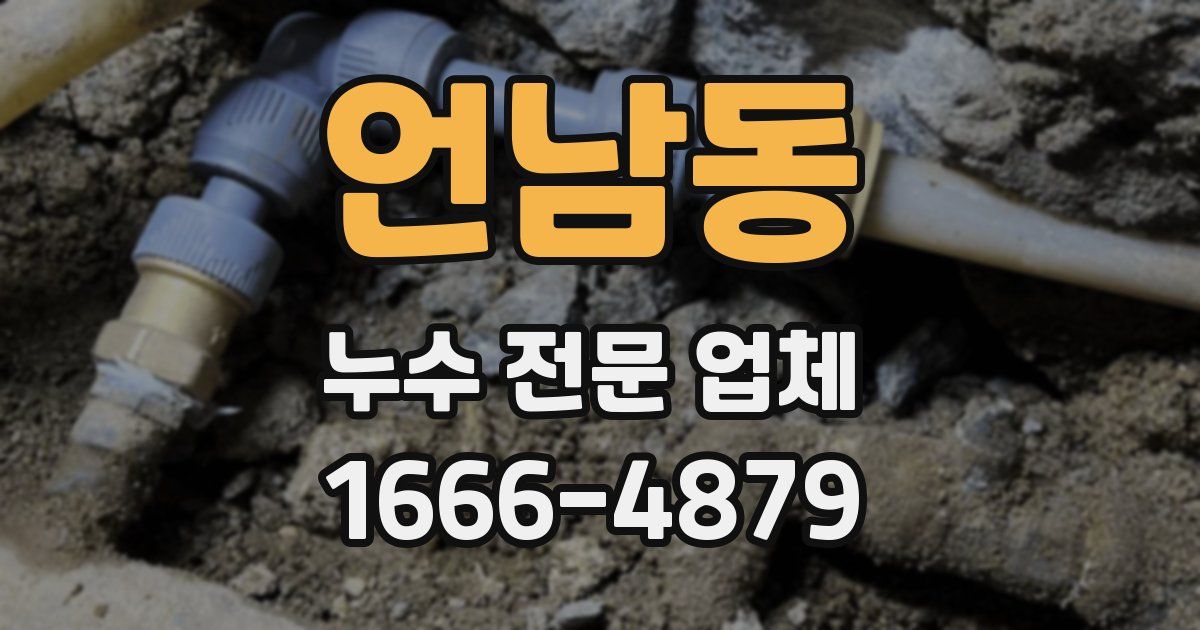 언남동 누수 전문 업체