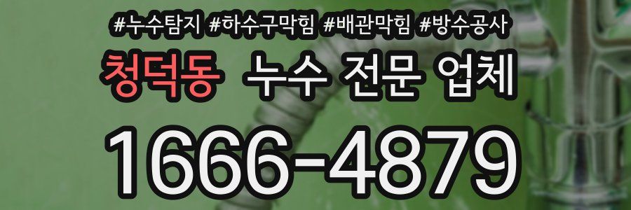 청덕동 누수 전문 업체