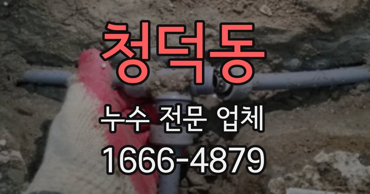 청덕동 누수 전문 업체