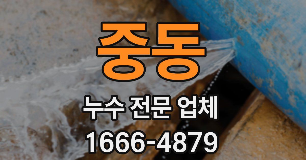 중동 누수 전문 업체