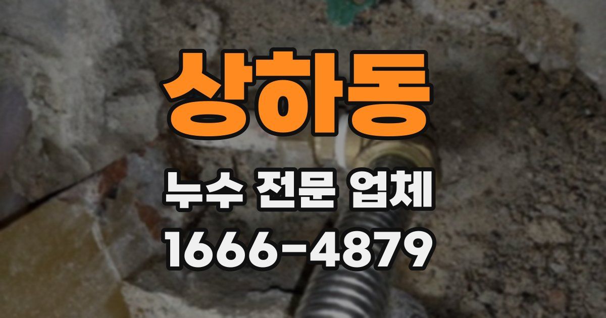 상하동 누수 전문 업체