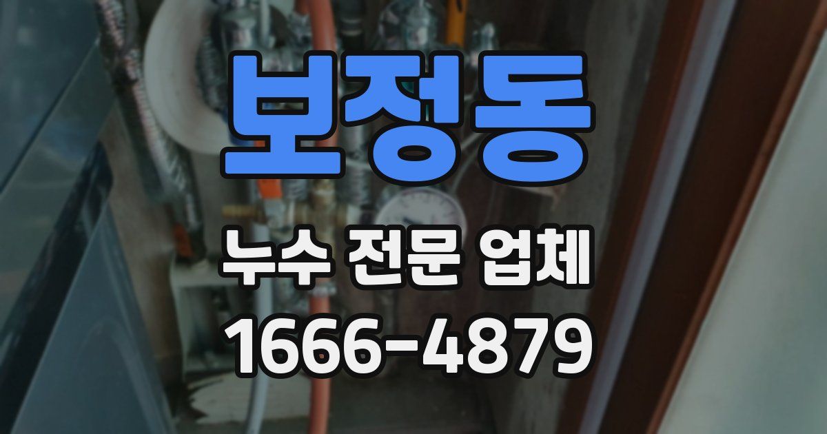 보정동 누수 전문 업체