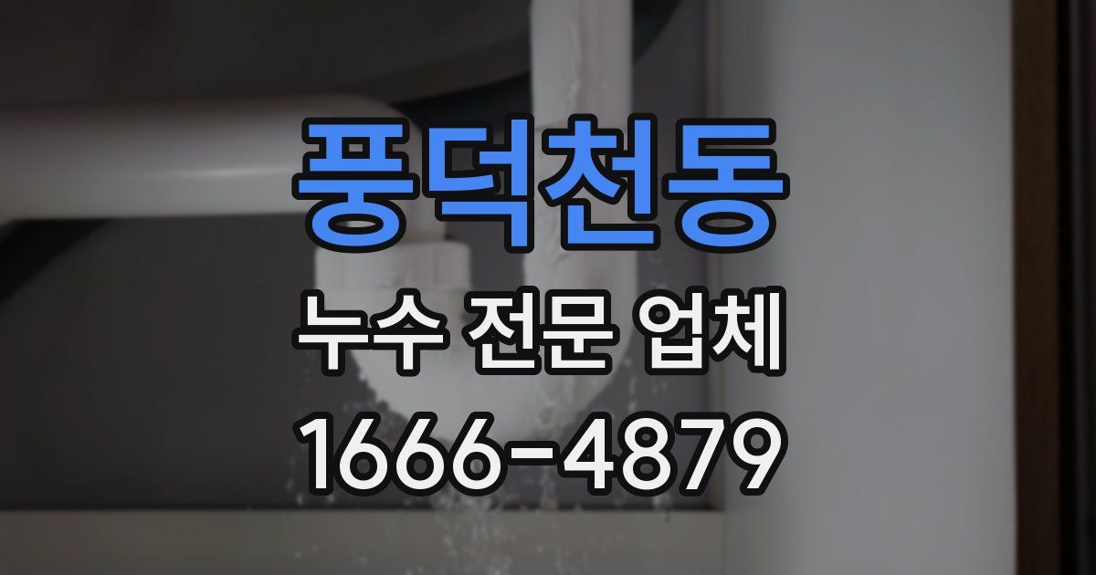풍덕천동 누수 전문 업체