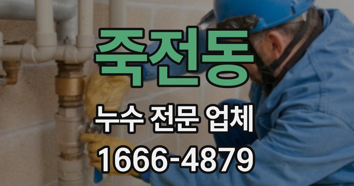 죽전동 누수 전문 업체