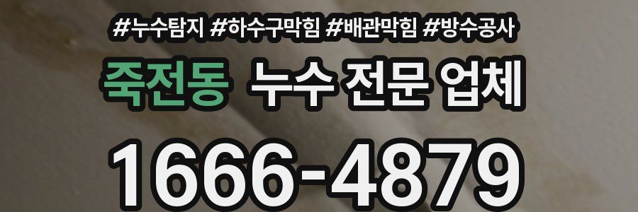 죽전동 누수 전문 업체