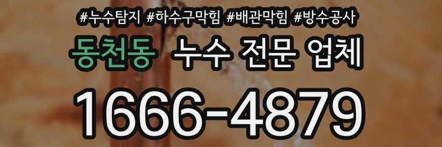 동천동 누수 전문 업체