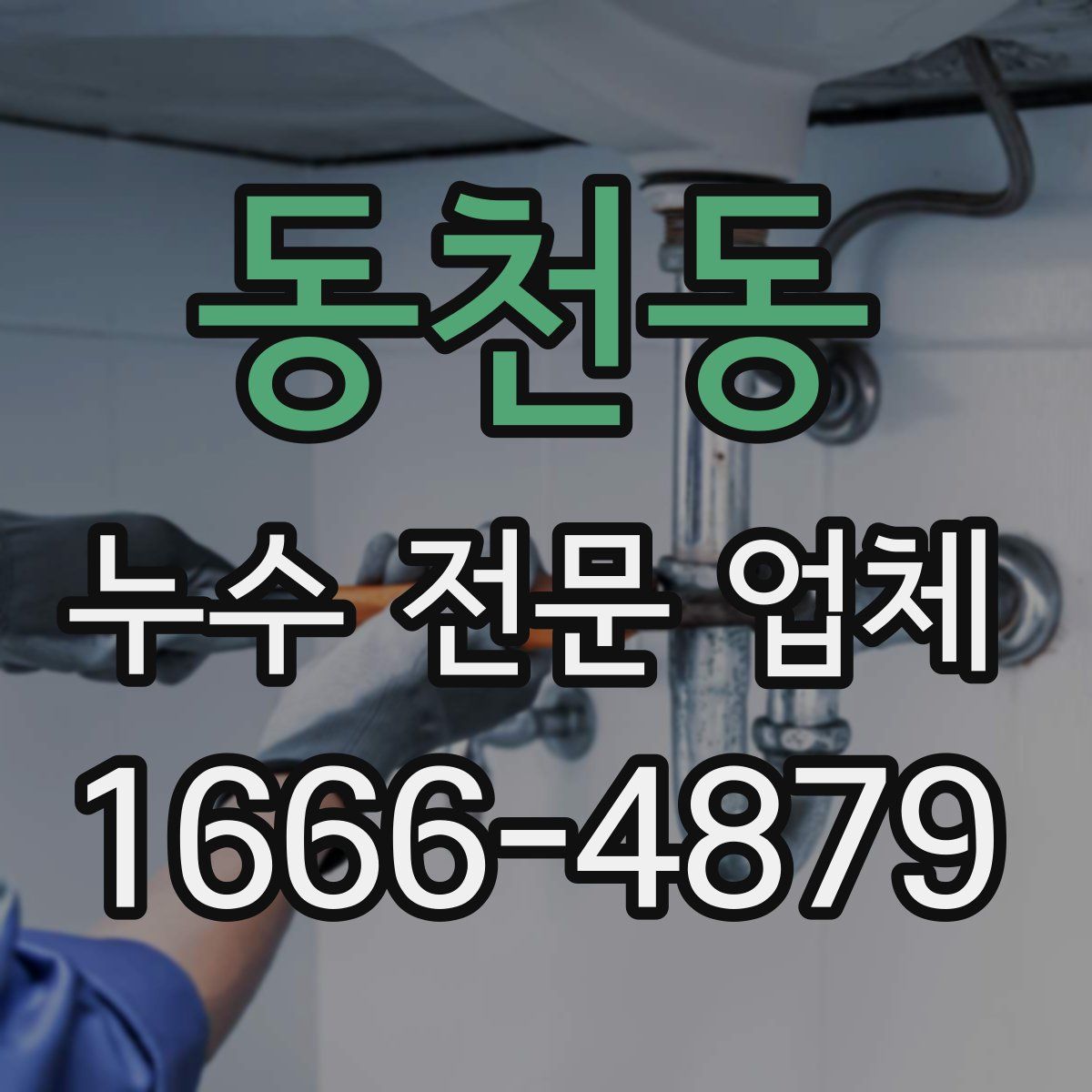 동천동 누수 전문 업체