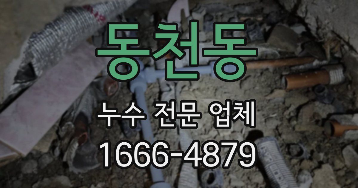 동천동 누수 전문 업체