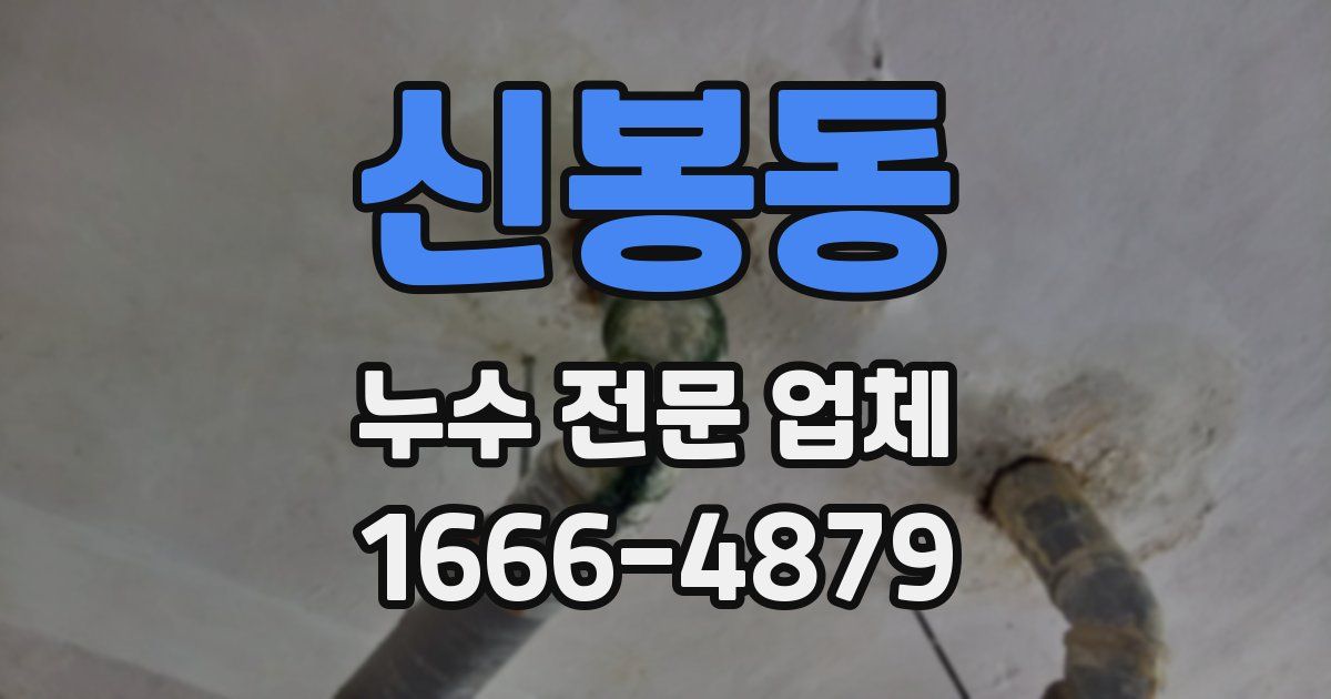 신봉동 누수 전문 업체
