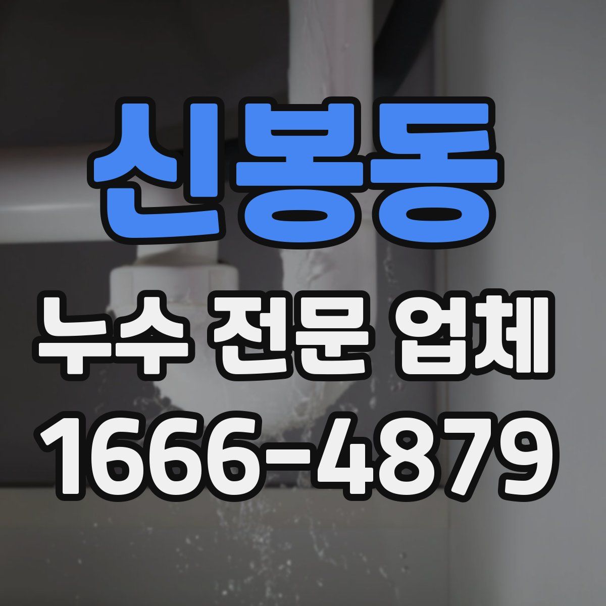 신봉동 누수 전문 업체