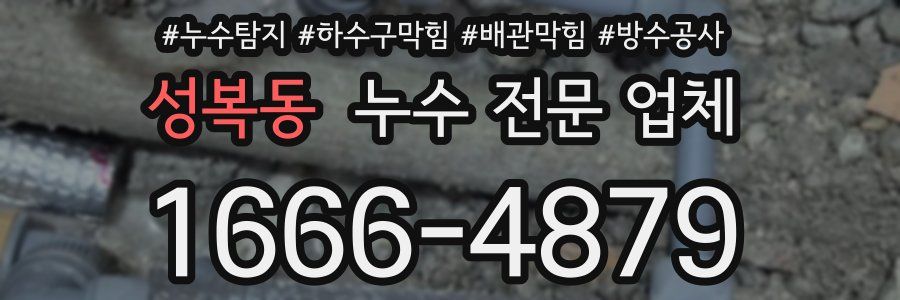 성복동 누수 전문 업체