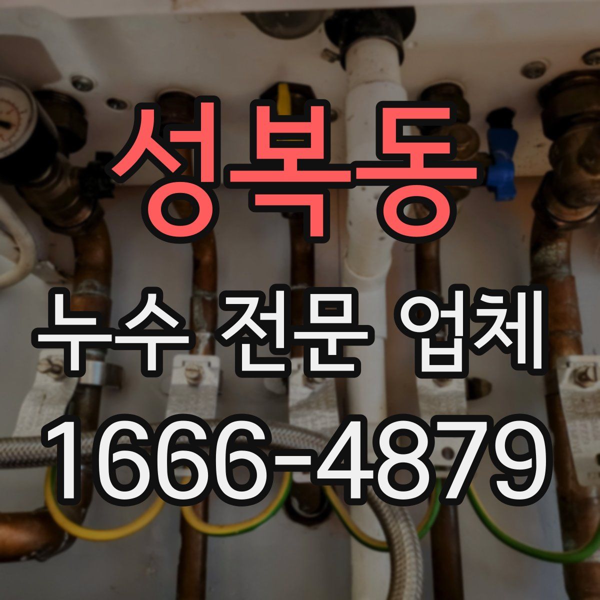 성복동 누수 전문 업체