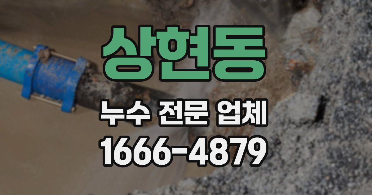 상현동 누수 전문 업체
