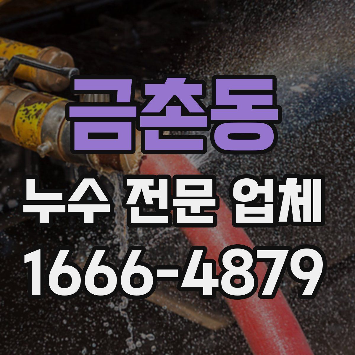 금촌동 누수 전문 업체