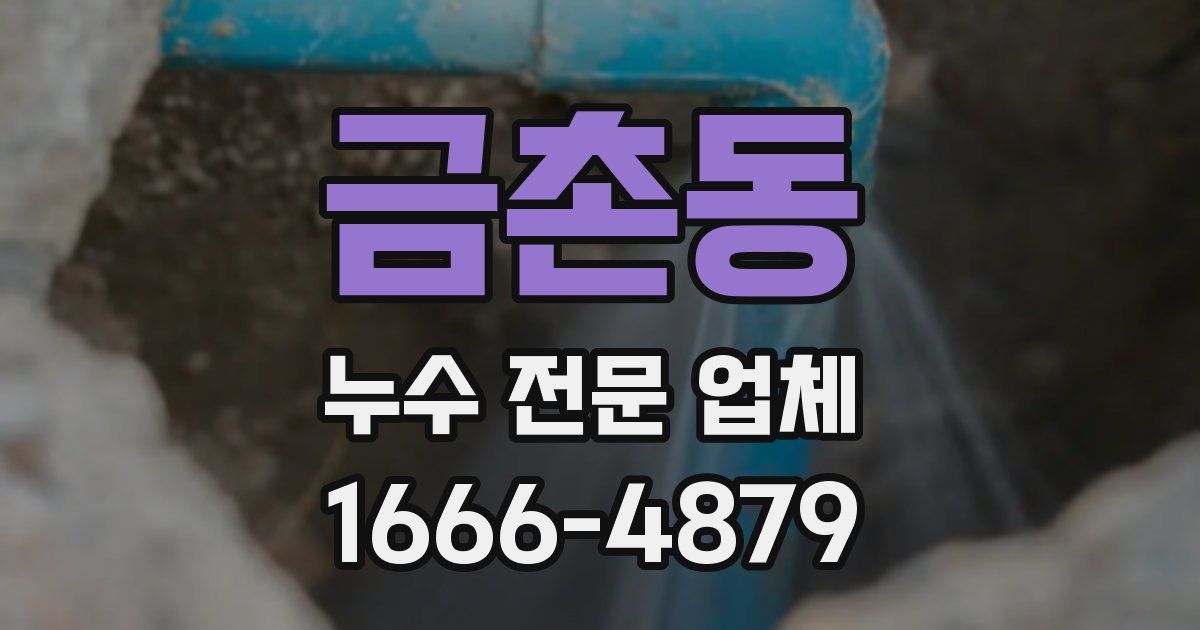금촌동 누수 전문 업체