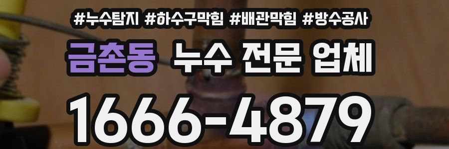 금촌동 누수 전문 업체
