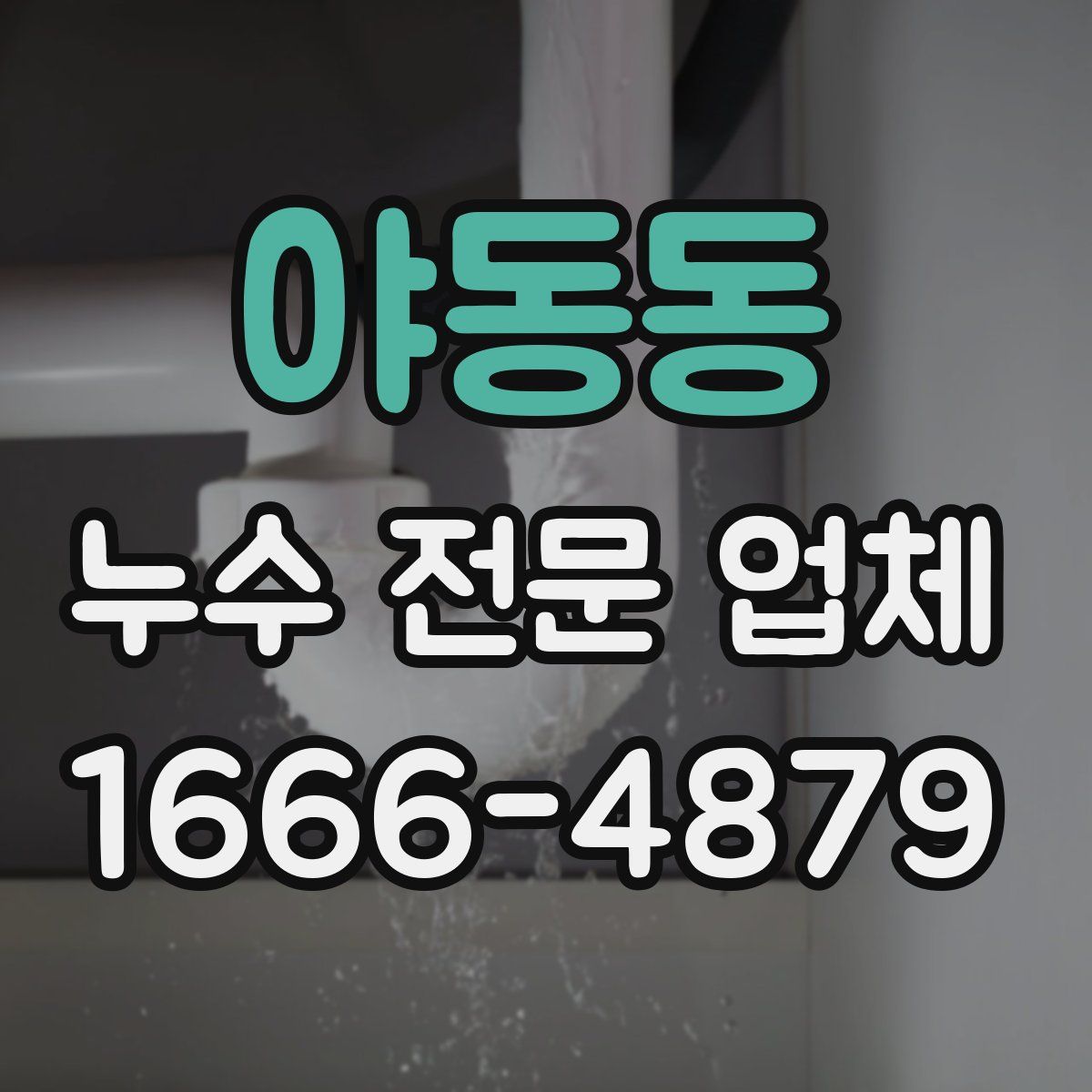 야동동 누수 전문 업체