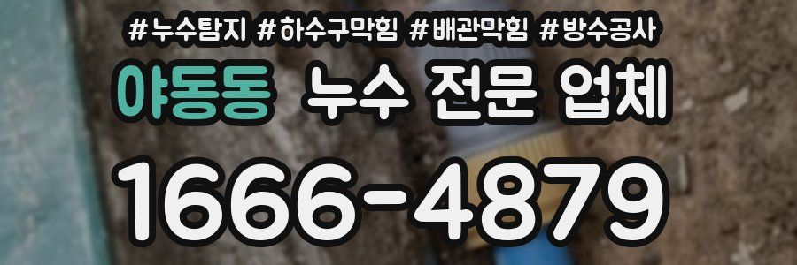 야동동 누수 전문 업체