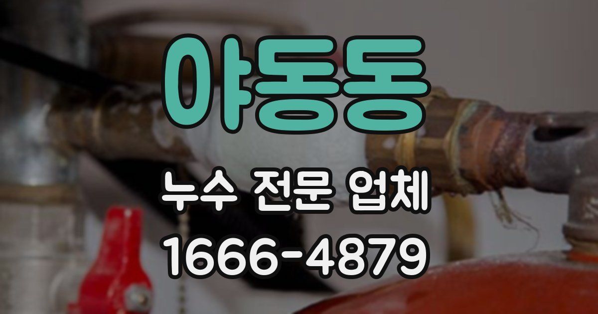 야동동 누수 전문 업체
