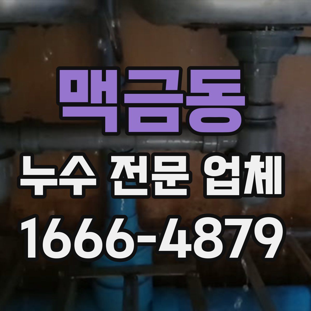 맥금동 누수 전문 업체