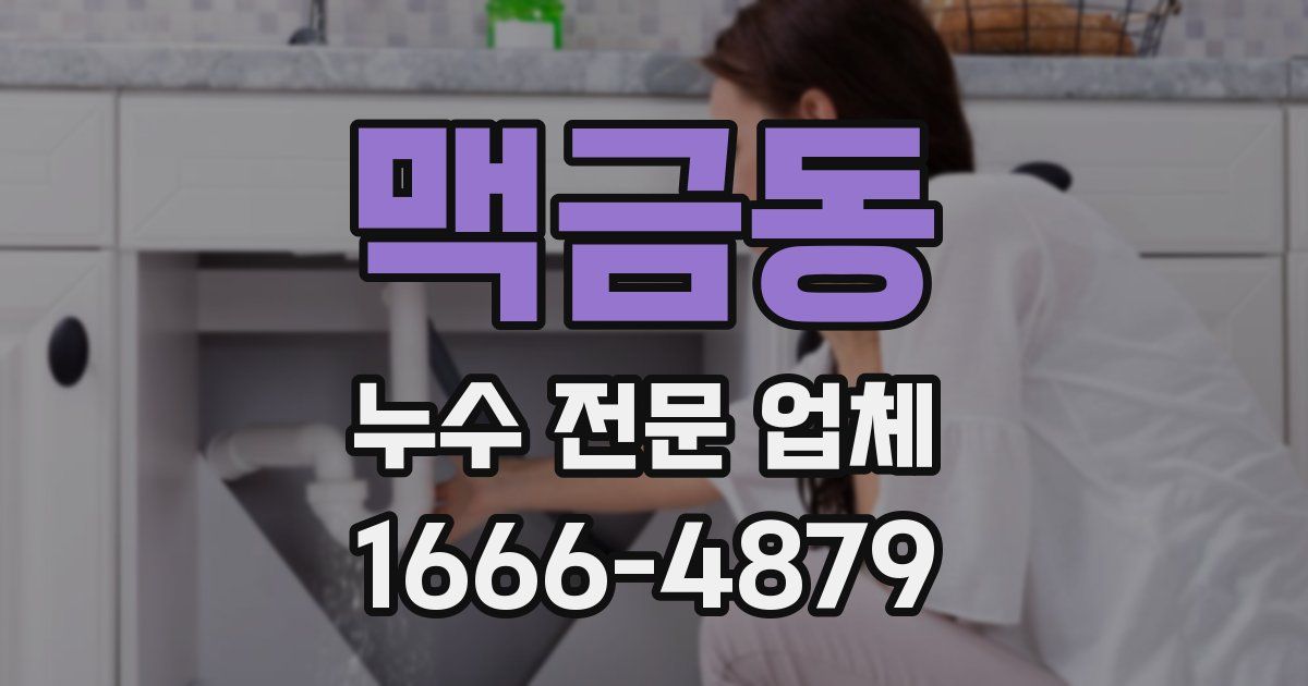 맥금동 누수 전문 업체