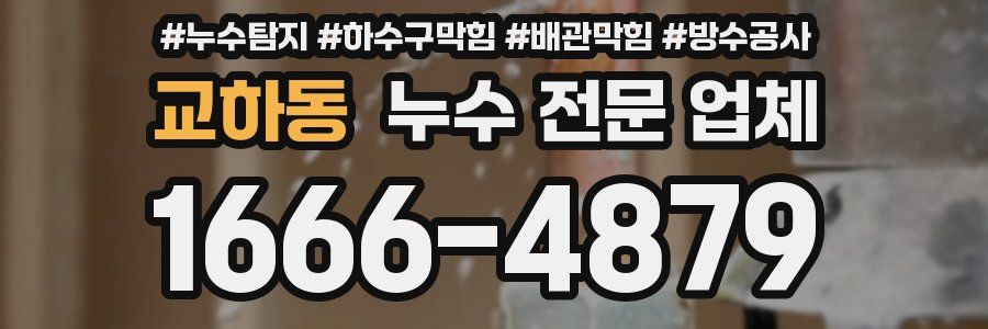 교하동 누수 전문 업체