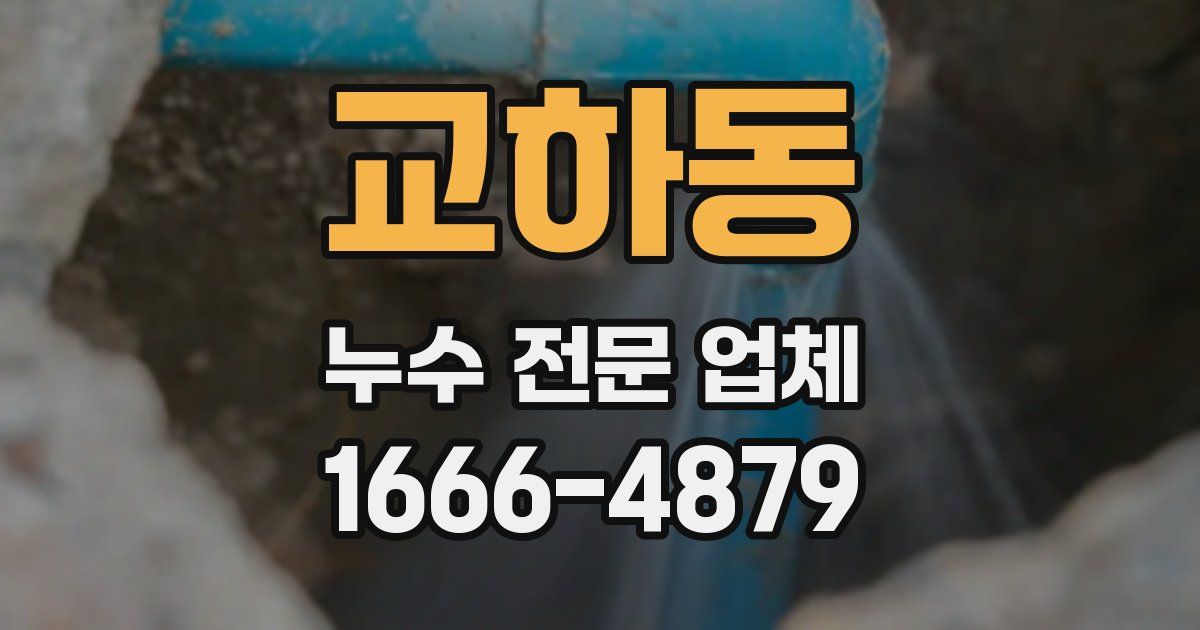 교하동 누수 전문 업체