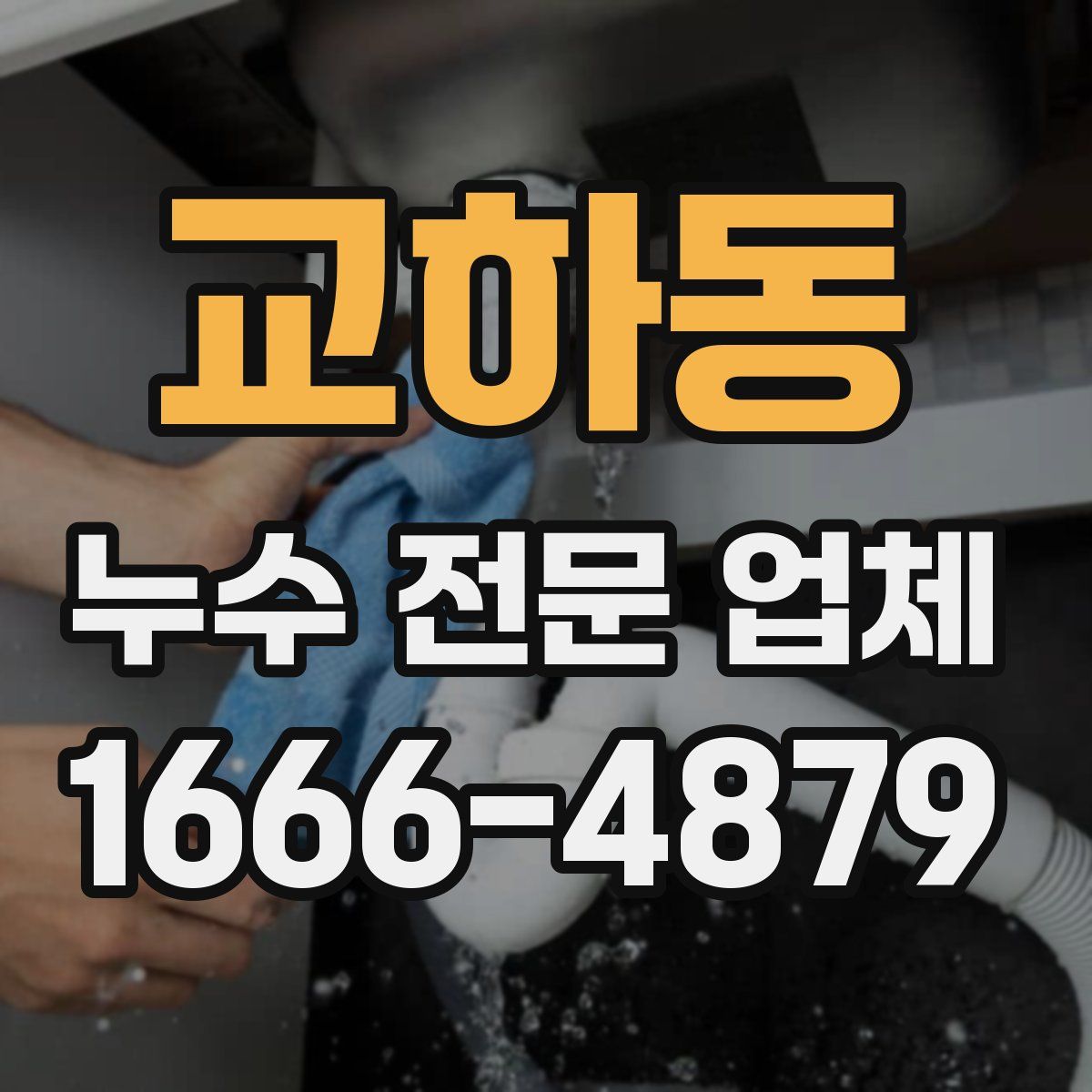 교하동 누수 전문 업체