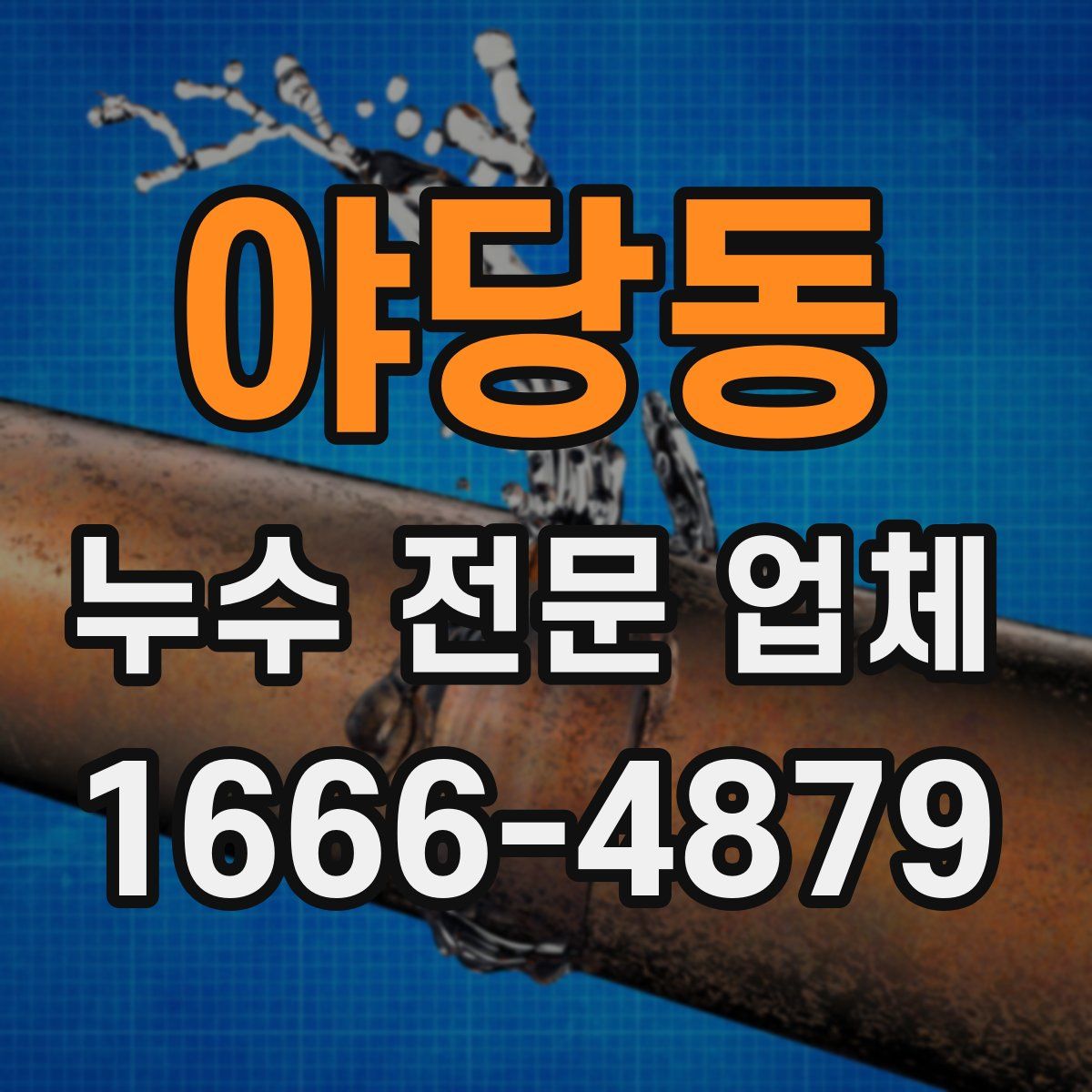 야당동 누수 전문 업체