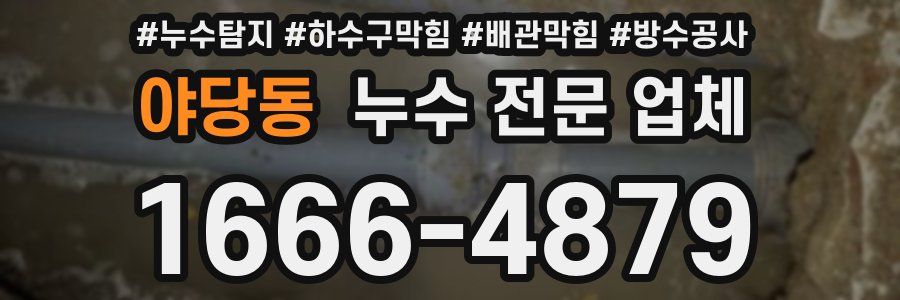 야당동 누수 전문 업체