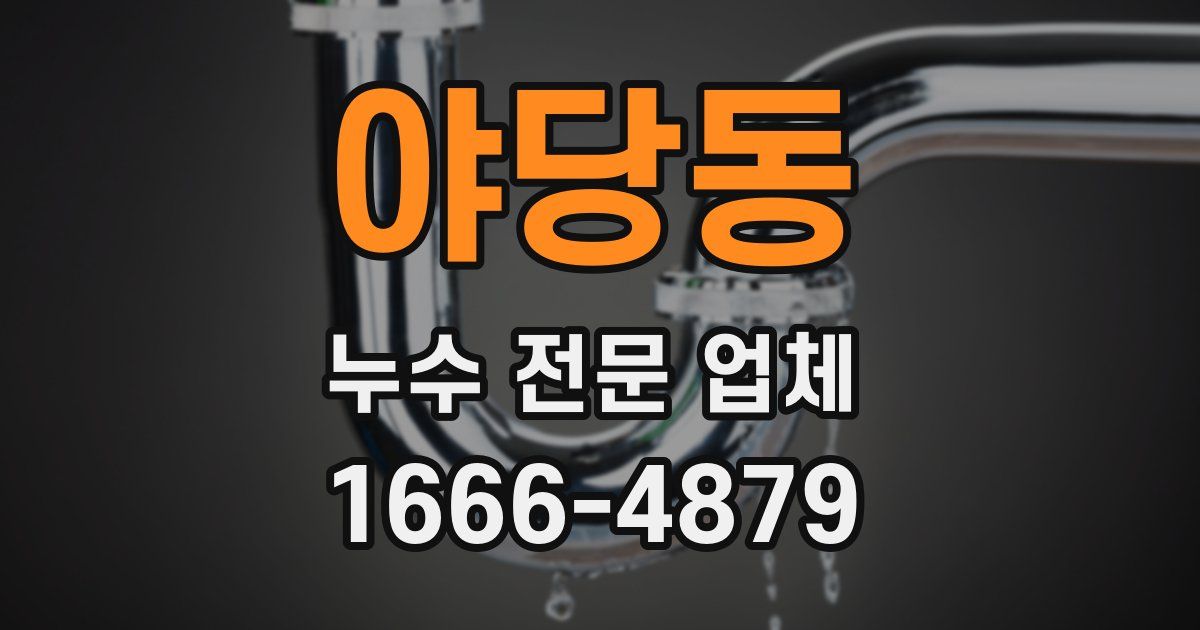 야당동 누수 전문 업체