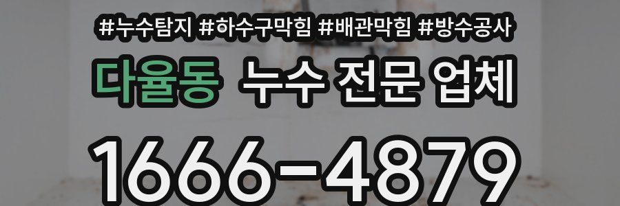 다율동 누수 전문 업체