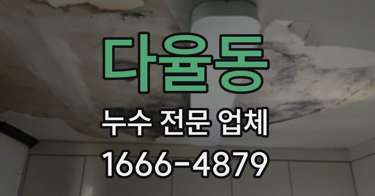 다율동 누수 전문 업체