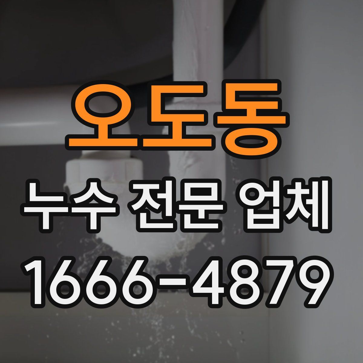 오도동 누수 전문 업체