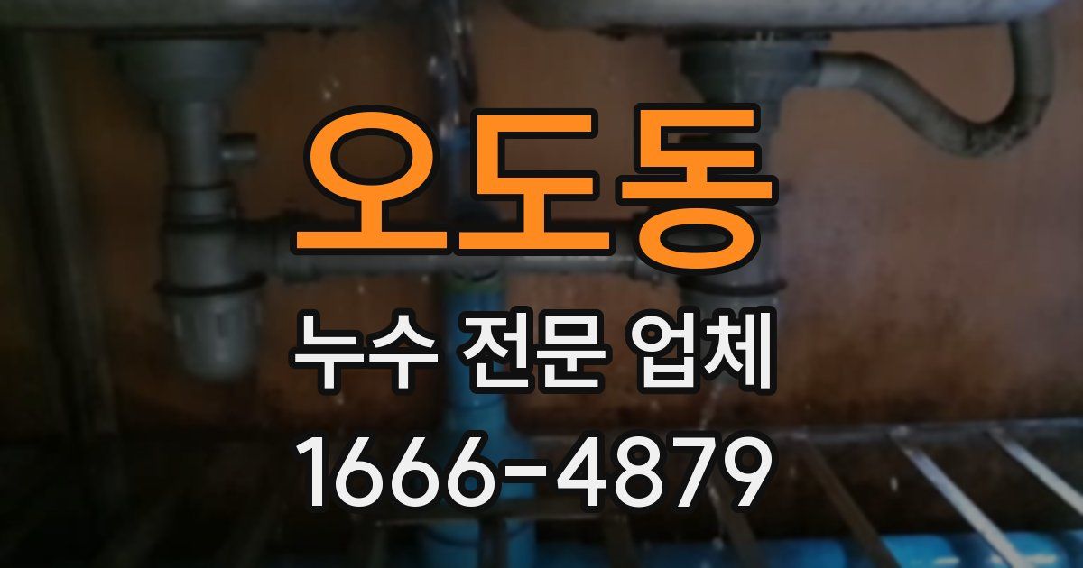 오도동 누수 전문 업체