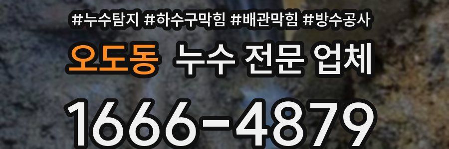 오도동 누수 전문 업체