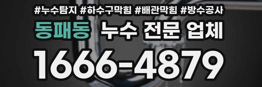 동패동 누수 전문 업체