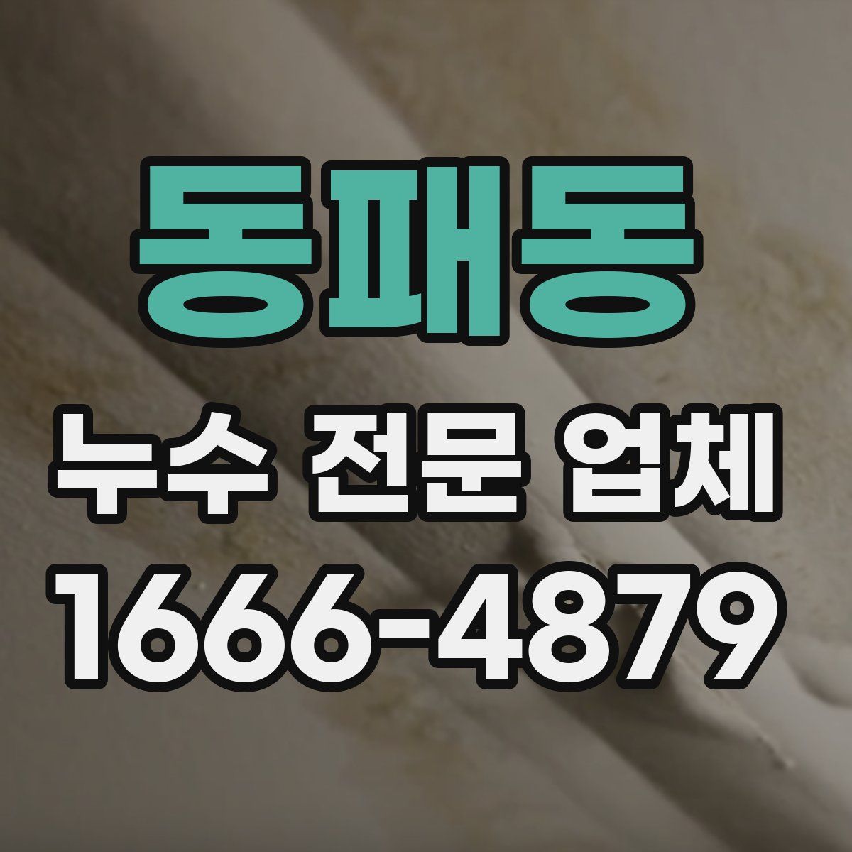 동패동 누수 전문 업체