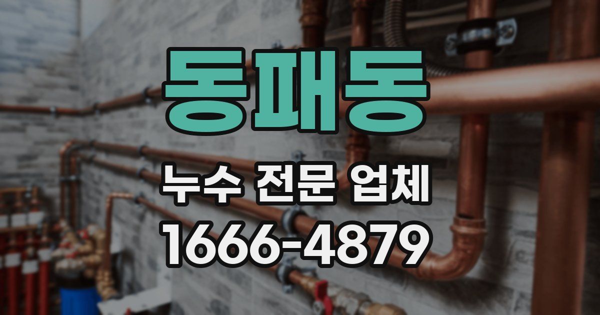 동패동 누수 전문 업체