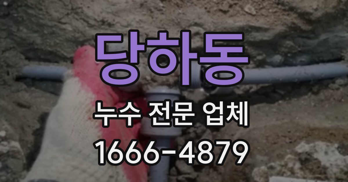 당하동 누수 전문 업체