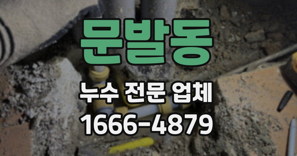 문발동 누수 전문 업체