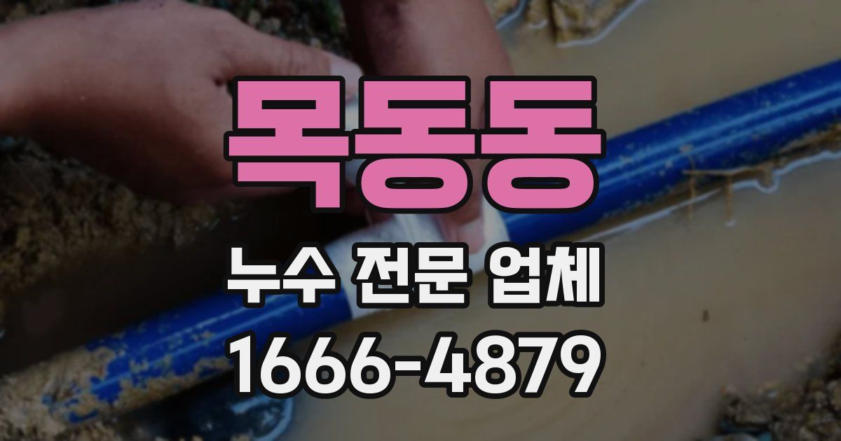 목동동 누수 전문 업체