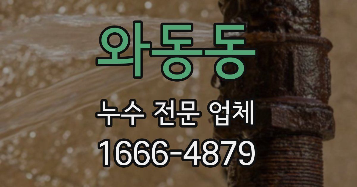와동동 누수 전문 업체