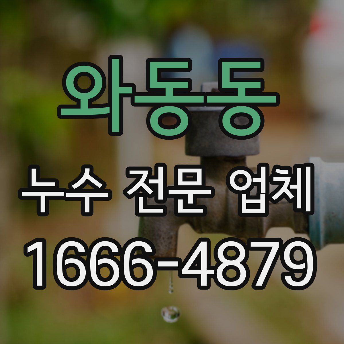 와동동 누수 전문 업체