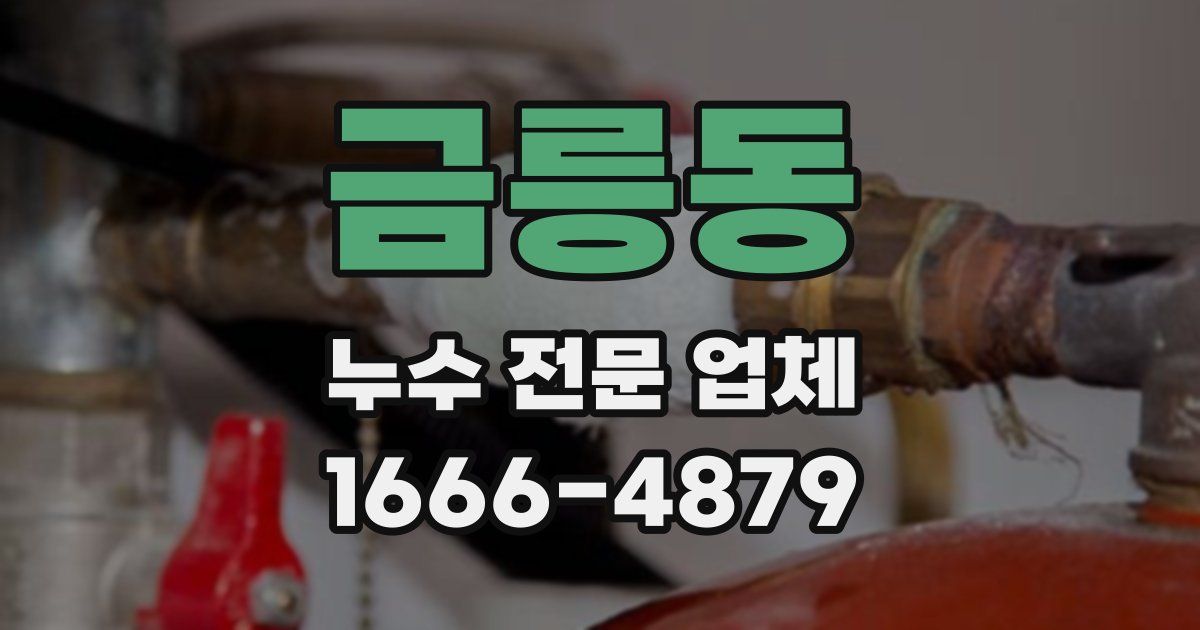 금릉동 누수 전문 업체